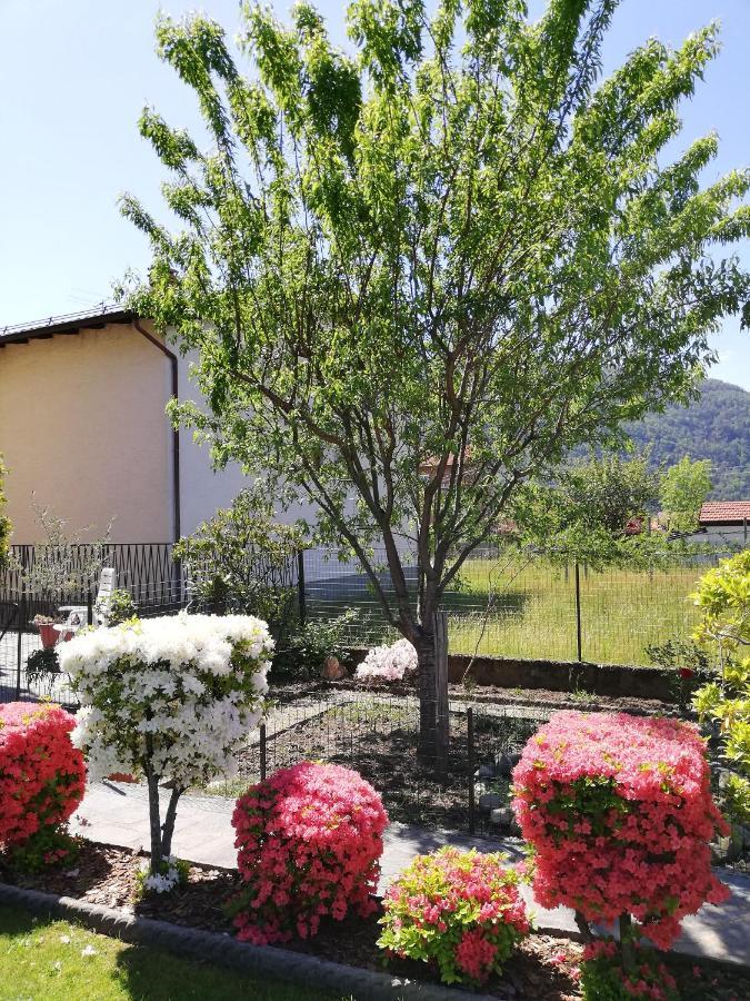 Appartement La Rosa Rossa à Cambiasca Extérieur photo